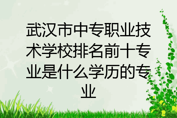 武汉市中专职业技术学校排名前十专业是什么学历的专业