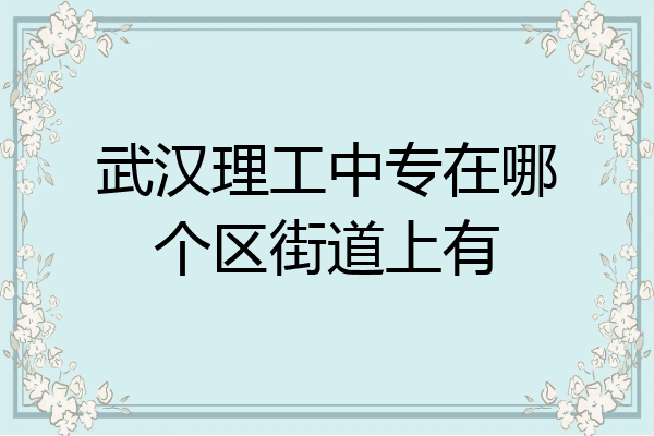 武汉理工中专在哪个区街道上有