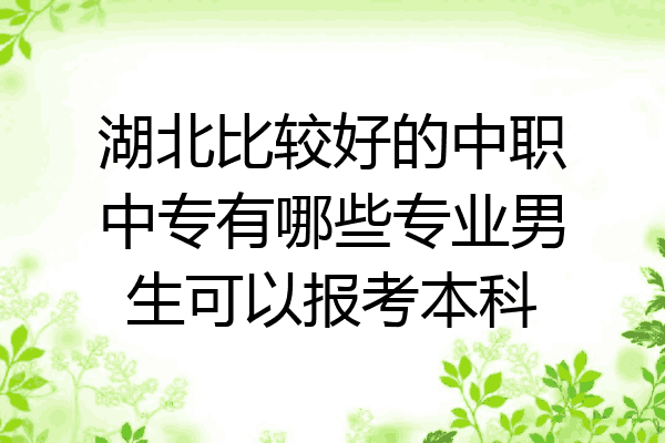 湖北比较好的中职中专有哪些专业男生可以报考本科