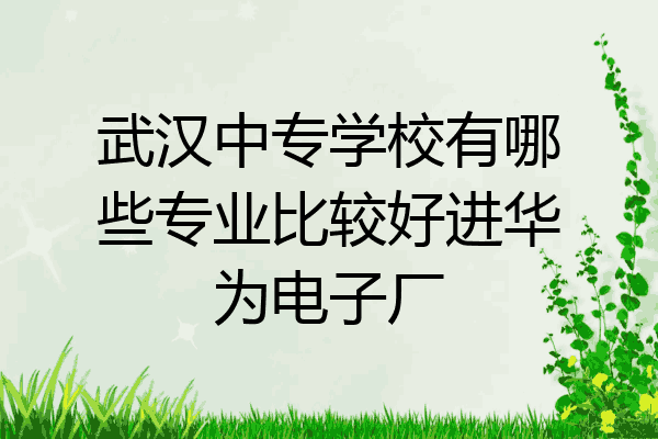 武汉中专学校有哪些专业比较好进华为电子厂