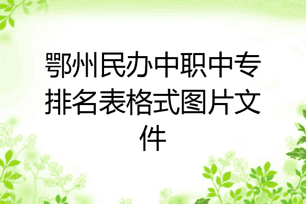 鄂州民办中职中专排名表格式图片文件