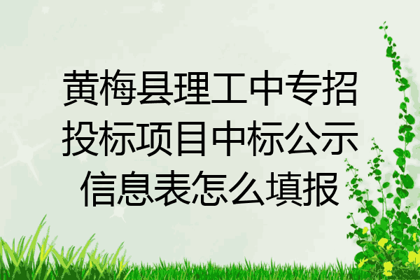 黄梅县理工中专招投标项目中标公示信息表怎么填报