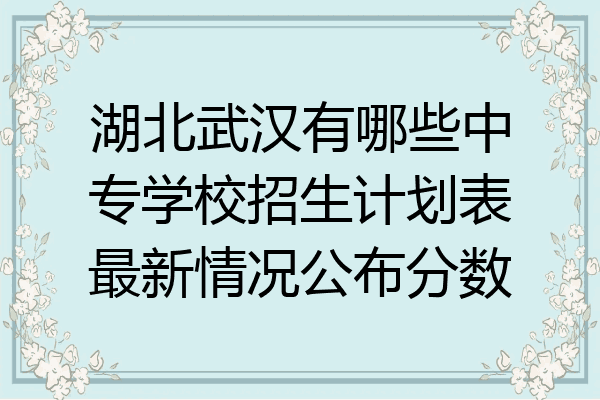 湖北武汉有哪些中专学校招生计划表最新情况公布分数