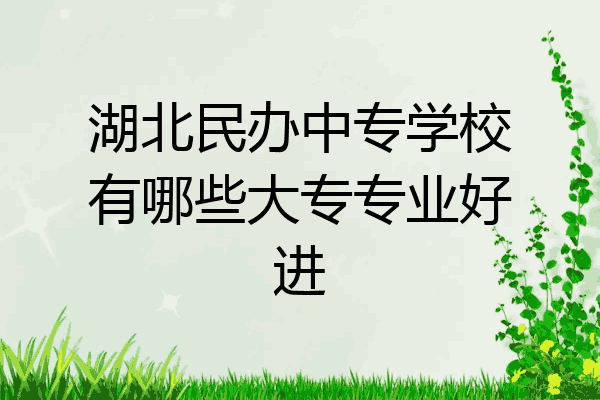 湖北民办中专学校有哪些大专专业好进