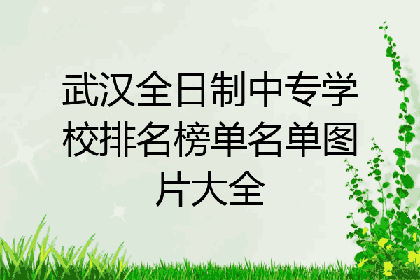 武汉全日制中专学校排名榜单名单图片大全