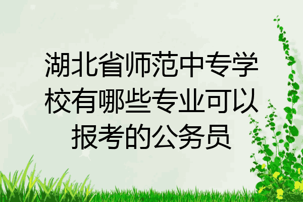 湖北省师范中专学校有哪些专业可以报考的公务员