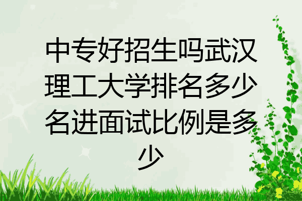 中专好招生吗武汉理工大学排名多少名进面试比例是多少