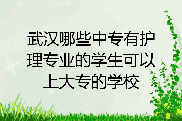 武汉哪些中专有护理专业的学生可以上大专的学校