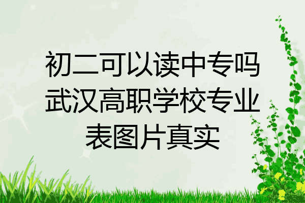 初二可以读中专吗武汉高职学校专业表图片真实