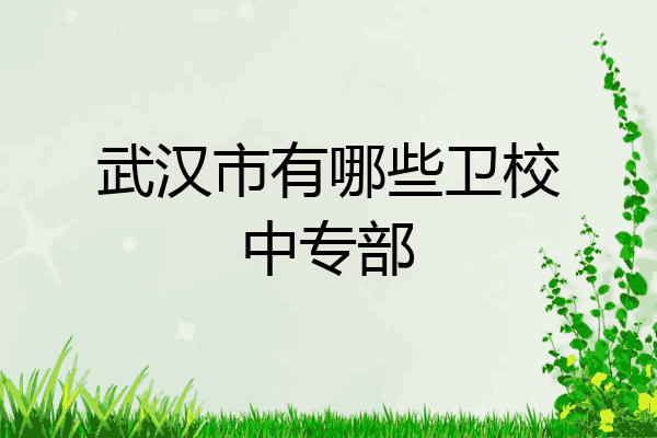武汉市有哪些卫校中专部