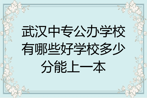 武汉中专公办学校有哪些好学校多少分能上一本