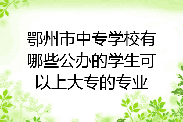鄂州市中专学校有哪些公办的学生可以上大专的专业