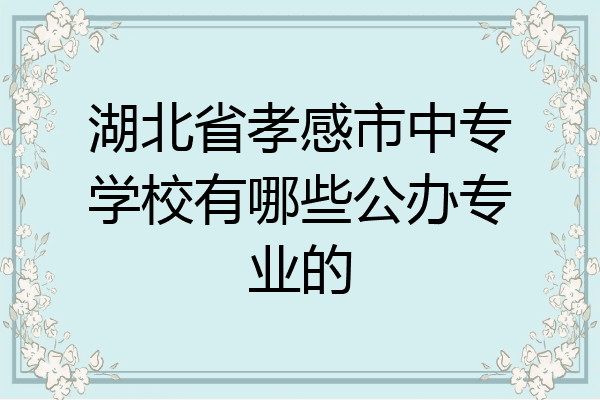 湖北省孝感市中专学校有哪些公办专业的