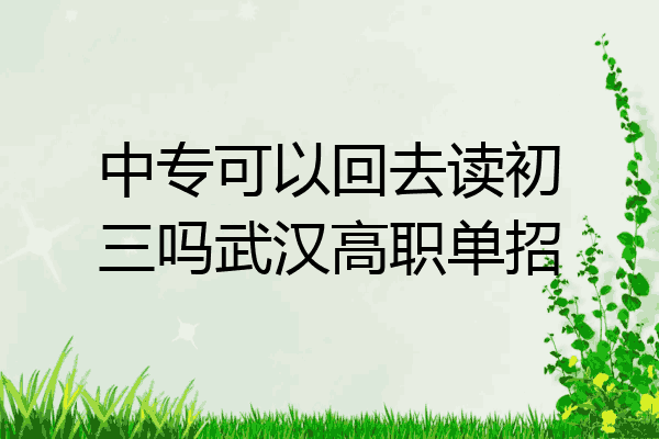 中专可以回去读初三吗武汉高职单招