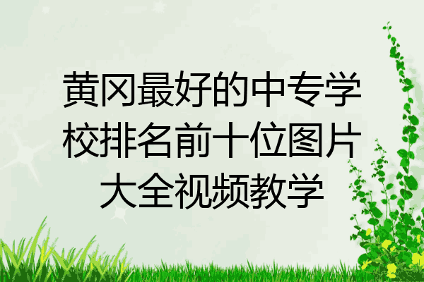 黄冈最好的中专学校排名前十位图片大全视频教学