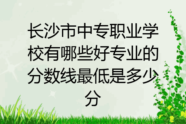 长沙市中专职业学校有哪些好专业的分数线最低是多少分