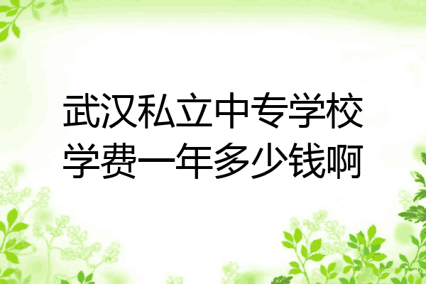 武汉私立中专学校学费一年多少钱啊
