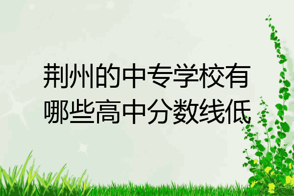 荆州的中专学校有哪些高中分数线低