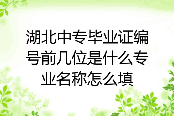 湖北中专毕业证编号前几位是什么专业名称怎么填