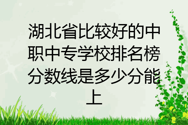 湖北省比较好的中职中专学校排名榜分数线是多少分能上