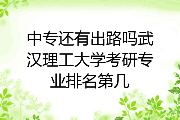 中专还有出路吗武汉理工大学考研专业排名第几