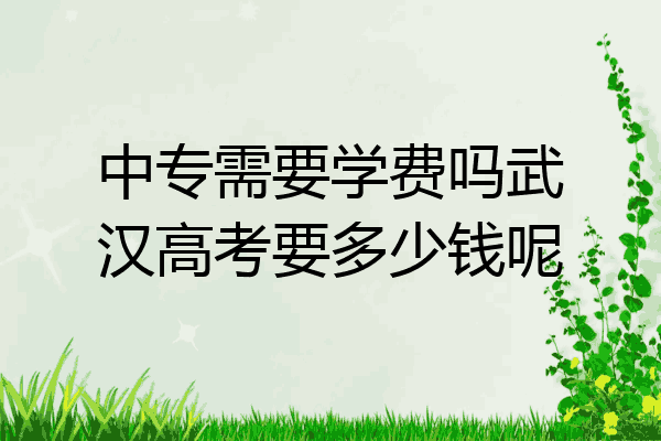 中专需要学费吗武汉高考要多少钱呢