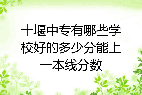 十堰中专有哪些学校好的多少分能上一本线分数