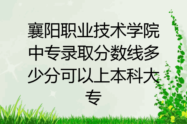 襄阳职业技术学院中专录取分数线多少分可以上本科大专
