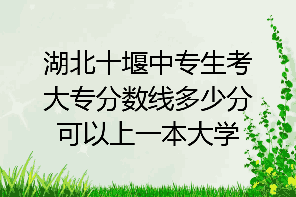 湖北十堰中专生考大专分数线多少分可以上一本大学