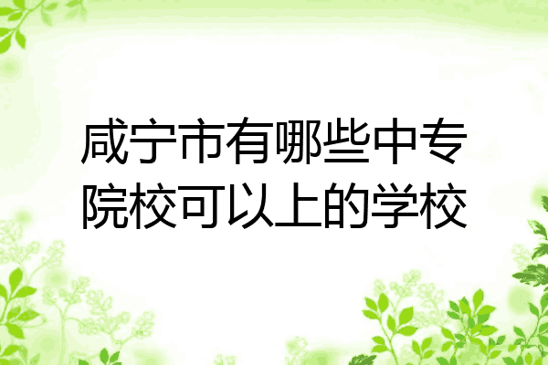咸宁市有哪些中专院校可以上的学校