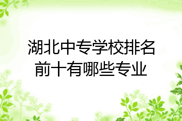 湖北中专学校排名前十有哪些专业