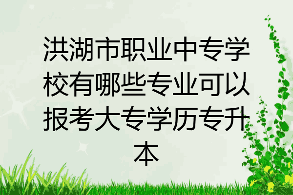 洪湖市职业中专学校有哪些专业可以报考大专学历专升本