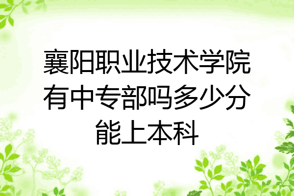 襄阳职业技术学院有中专部吗多少分能上本科
