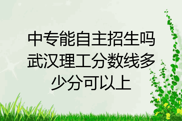 中专能自主招生吗武汉理工分数线多少分可以上