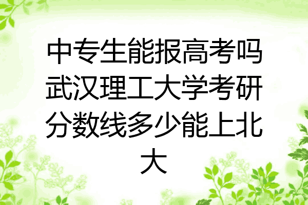 中专生能报高考吗武汉理工大学考研分数线多少能上北大