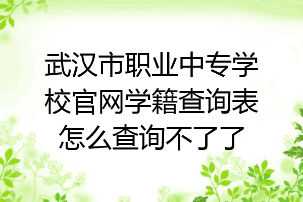 武汉市职业中专学校官网学籍查询表怎么查询不了了