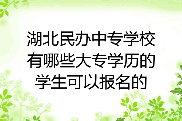 湖北民办中专学校有哪些大专学历的学生可以报名的