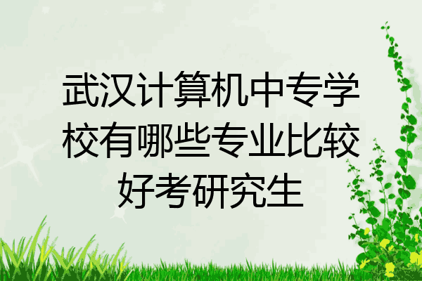 武汉计算机中专学校有哪些专业比较好考研究生