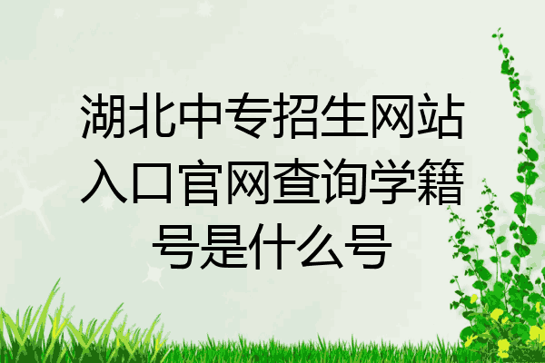 湖北中专招生网站入口官网查询学籍号是什么号