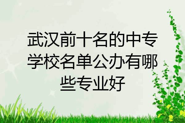武汉前十名的中专学校名单公办有哪些专业好