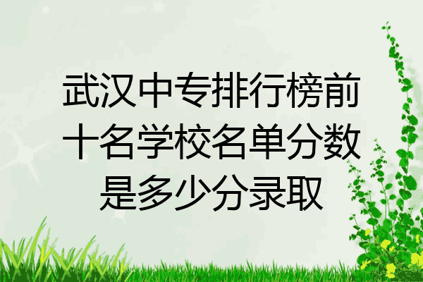 武汉中专排行榜前十名学校名单分数是多少分录取