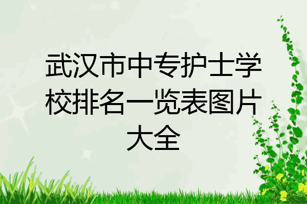 武汉市中专护士学校排名一览表图片大全
