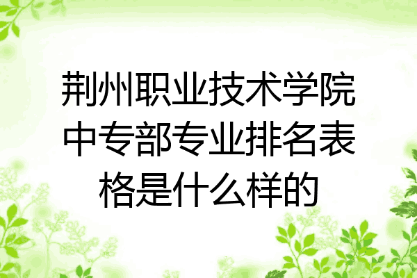 荆州职业技术学院中专部专业排名表格是什么样的