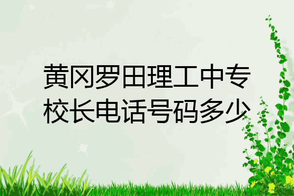 黄冈罗田理工中专校长电话号码多少