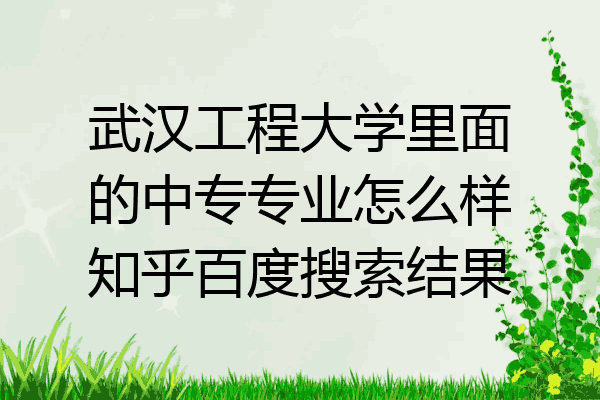 武汉工程大学里面的中专专业怎么样知乎百度搜索结果