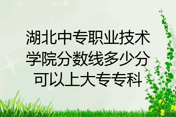 湖北中专职业技术学院分数线多少分可以上大专专科