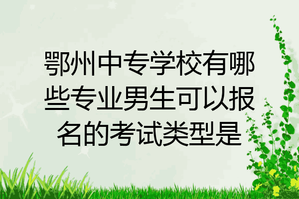 鄂州中专学校有哪些专业男生可以报名的考试类型是