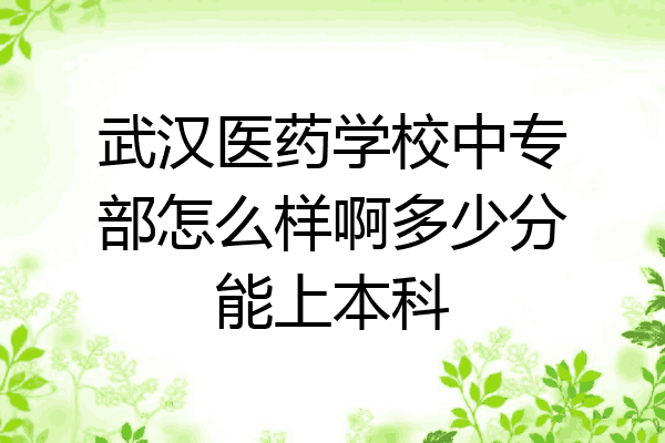 武汉医药学校中专部怎么样啊多少分能上本科