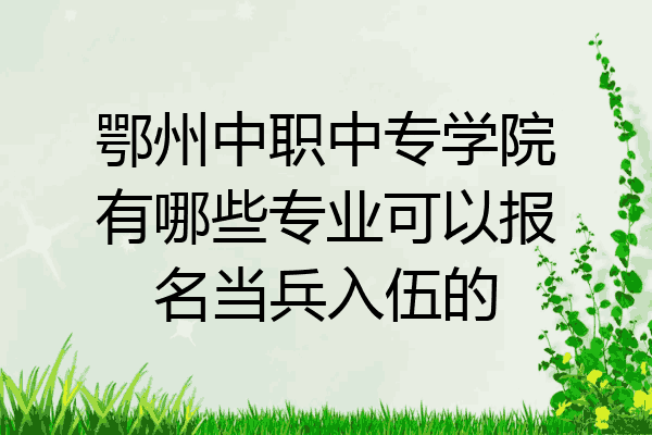 鄂州中职中专学院有哪些专业可以报名当兵入伍的