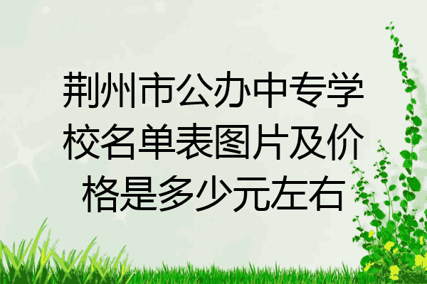荆州市公办中专学校名单表图片及价格是多少元左右